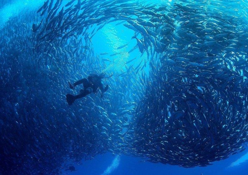 科伦药业:默沙东里程碑付款以其国际临床作为节点