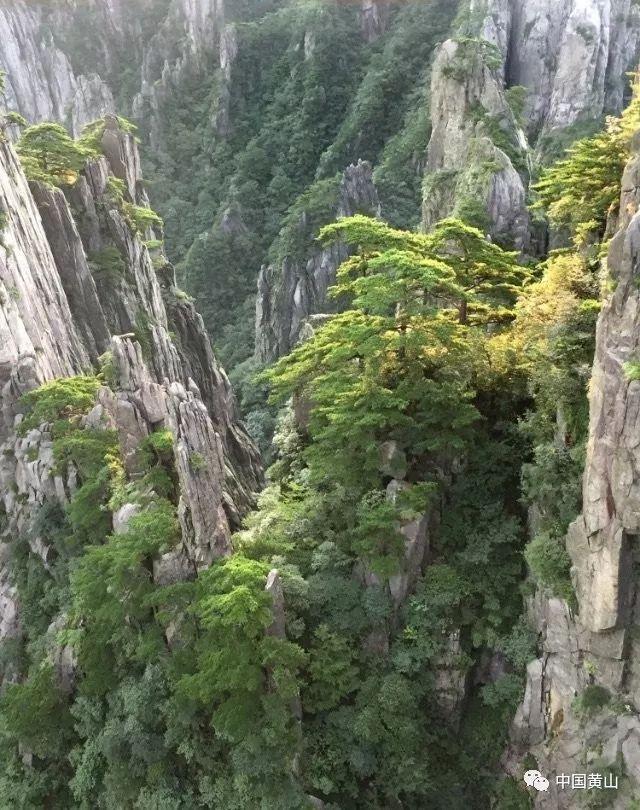 模拟城市5