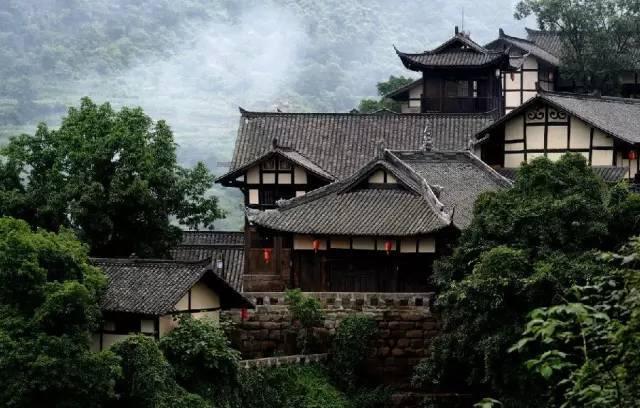 江西德安：代表履职促振兴  “冬闲田”变身“增收地”